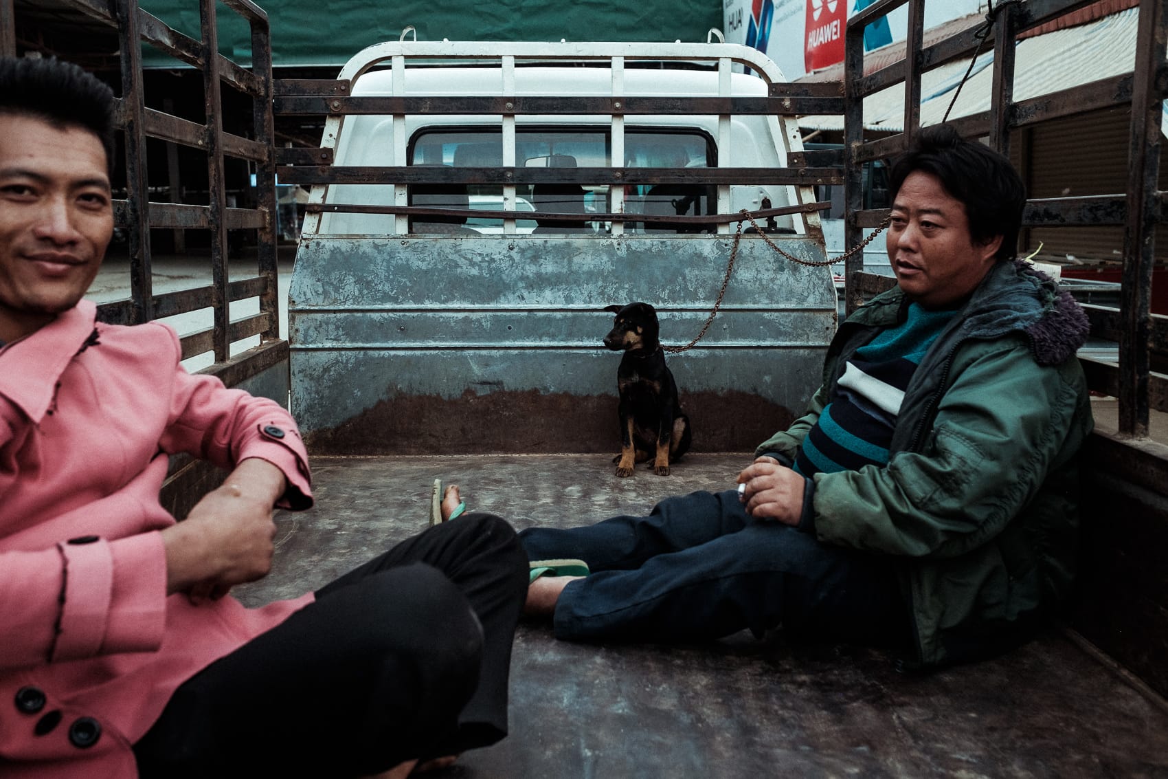 Laos Phonsavan 2019 30 Runaway Dog