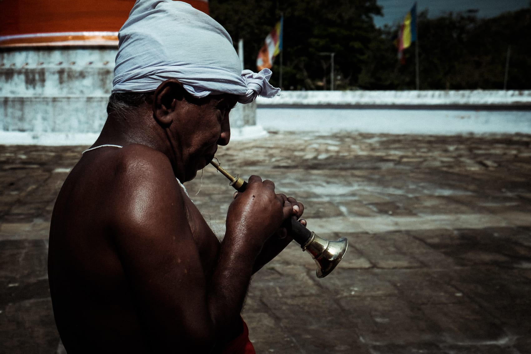 Sri Lanka Anuradapura 2015 07 Trumpeter
