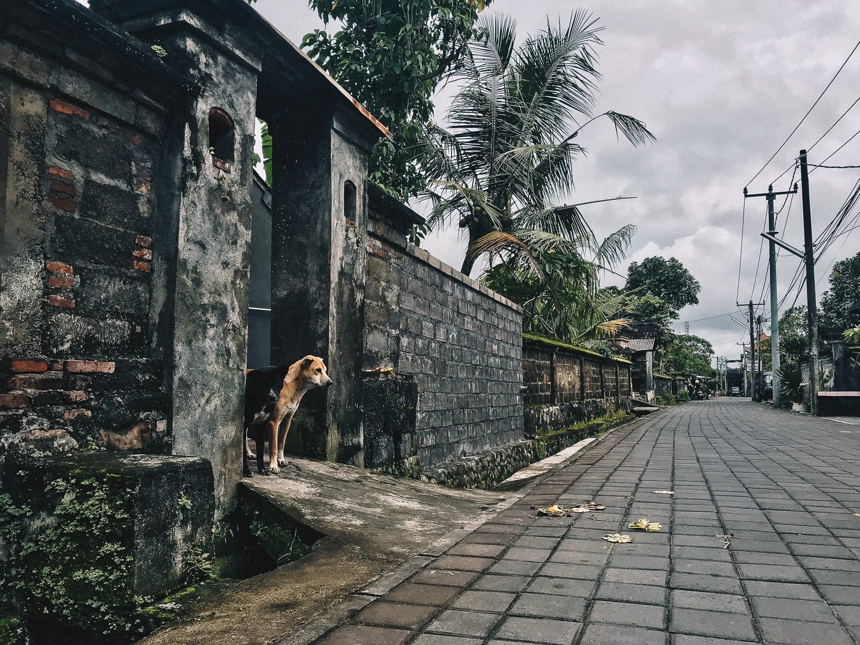 Ubud, Bali, Indonesia. January 2018